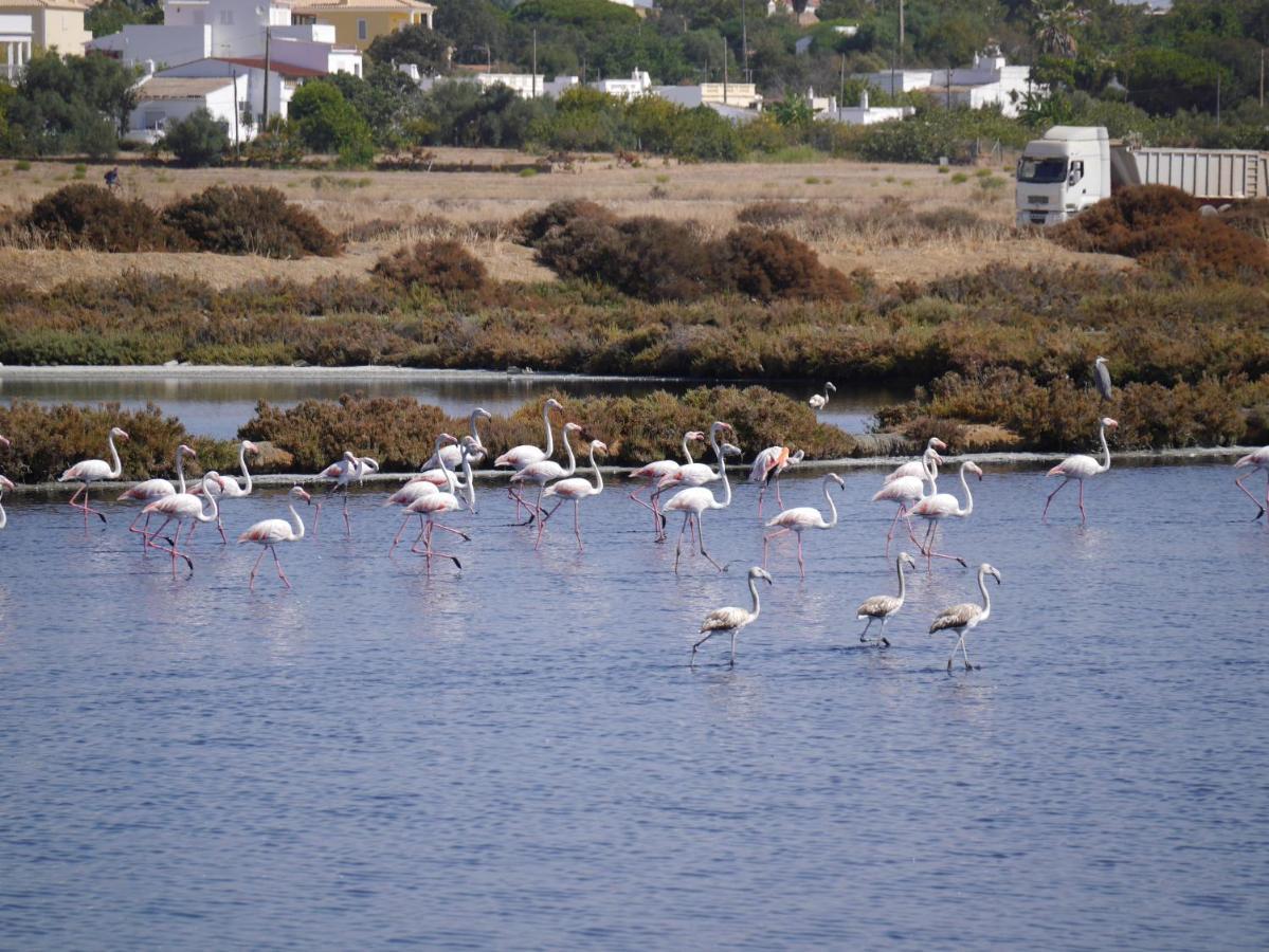 Tavira Nomad Guesthouse Экстерьер фото
